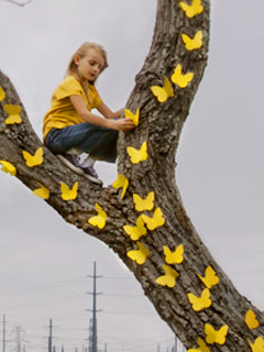 girl hanging butterfies in a tree